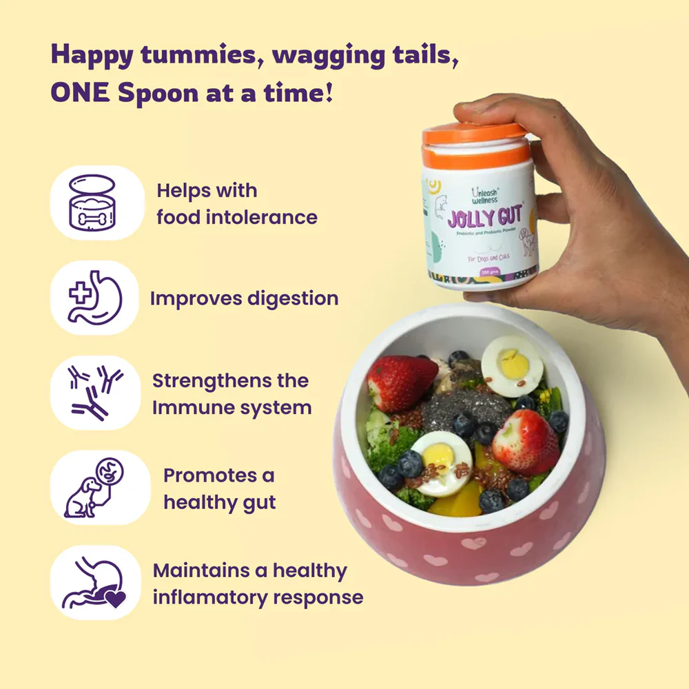 Unleash Wellness Jolly Gut Pre and Pro Biotic Supplement for Dogs and Cats - Image 5