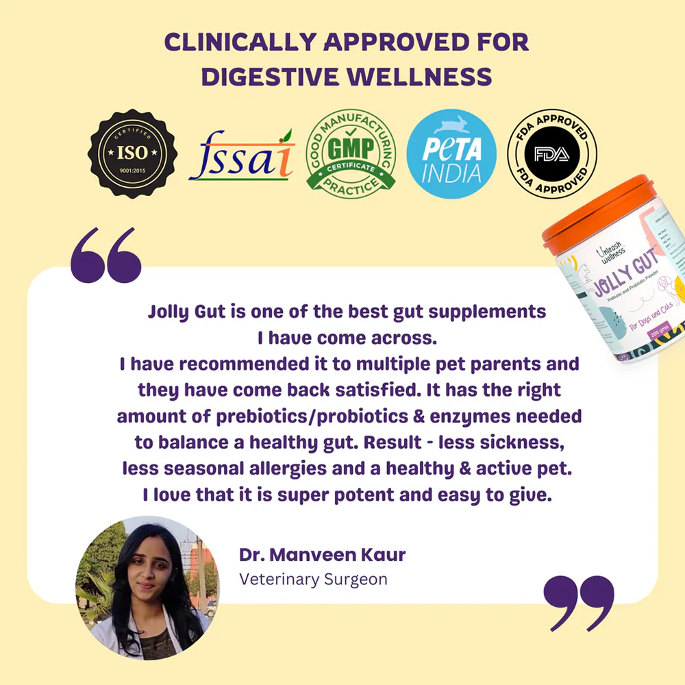 Unleash Wellness Jolly Gut Pre and Pro Biotic Supplement for Dogs and Cats - Image 6