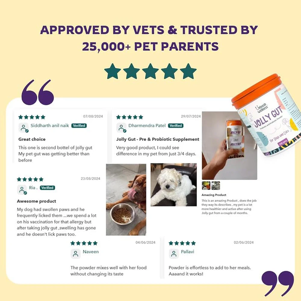 Unleash Wellness Jolly Gut Pre and Pro Biotic Supplement for Dogs and Cats - Image 7