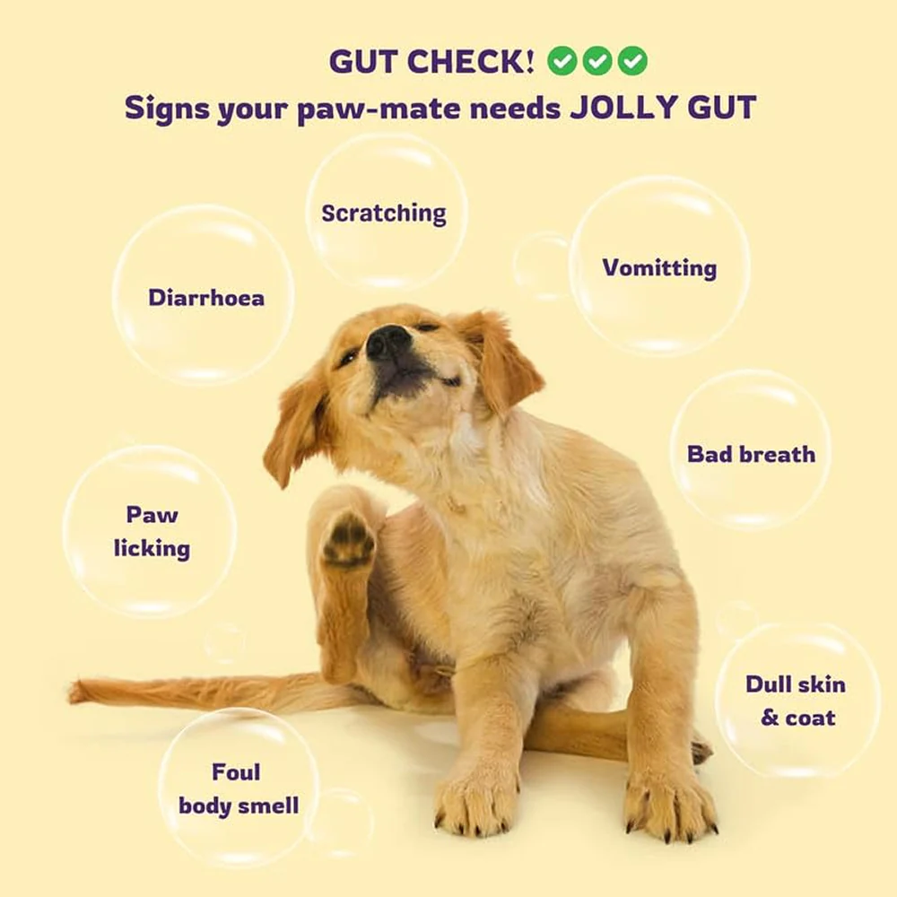 Unleash Wellness Jolly Gut Pre and Pro Biotic Supplement for Dogs and Cats - Image 8