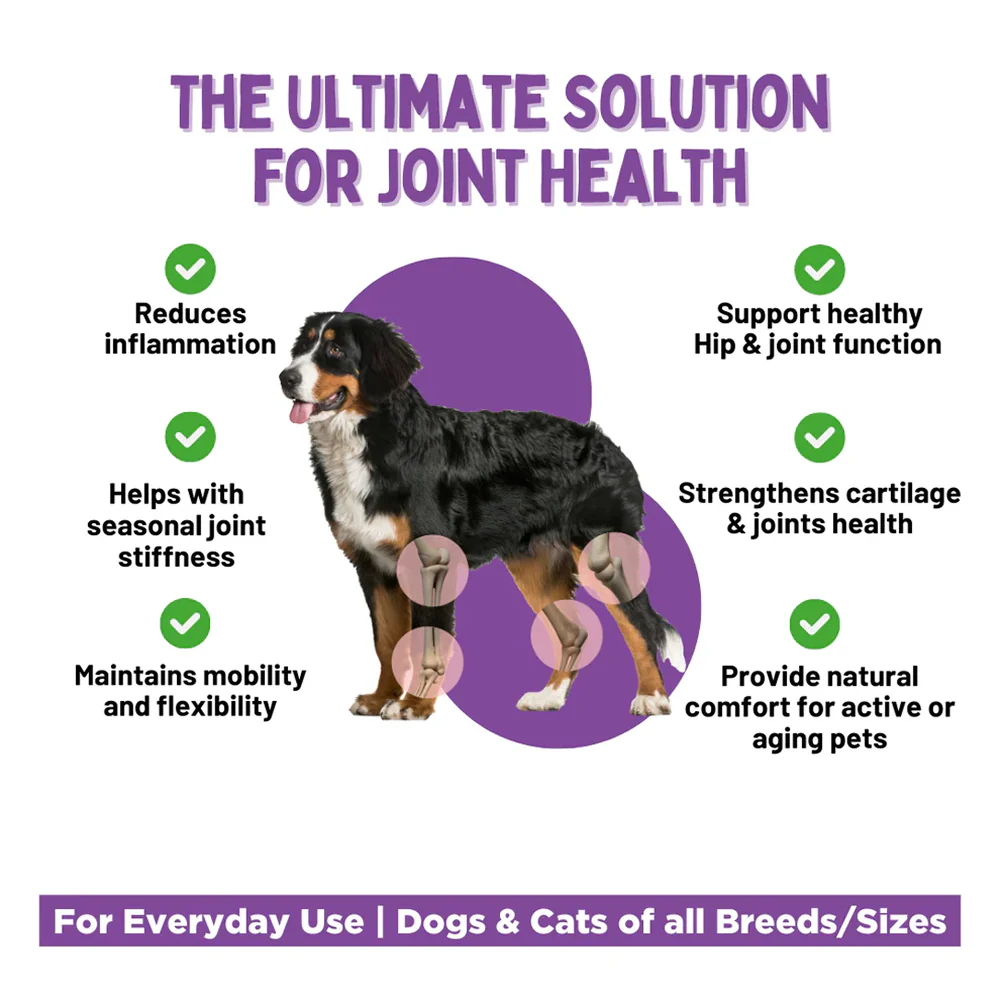 Unleash Wellness Jounce Hip and Joint Support Chews for Dogs and Cats - Image 10