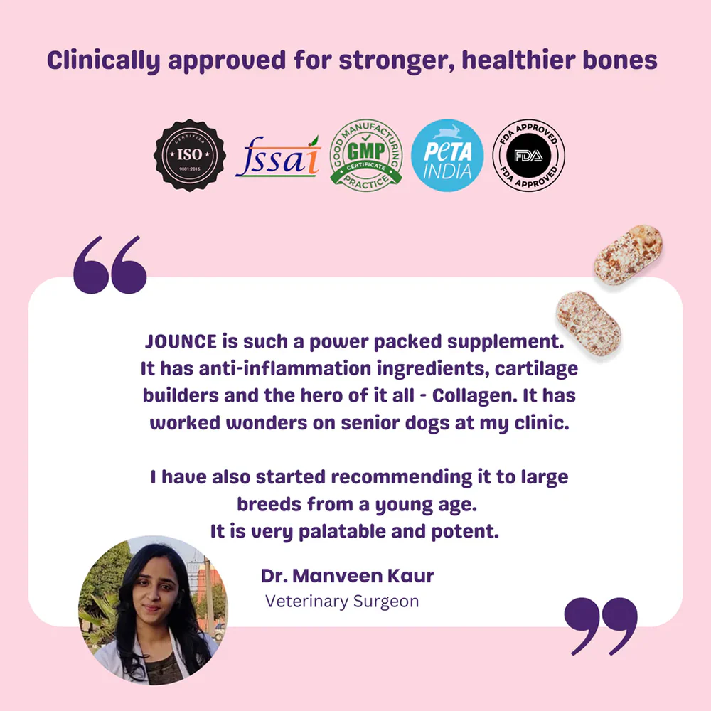Unleash Wellness Jounce Hip and Joint Support Chews for Dogs and Cats - Image 12