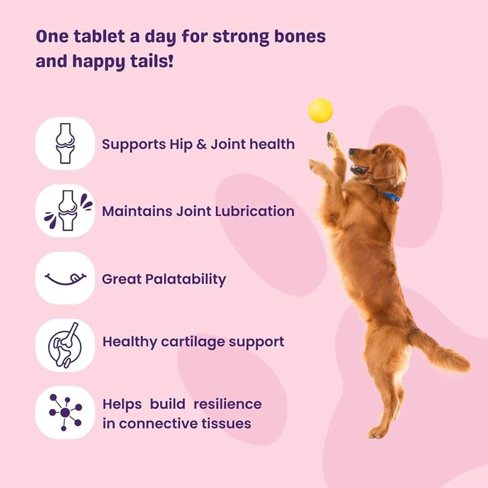 Unleash Wellness Jounce Hip and Joint Support Chews for Dogs and Cats - Image 3