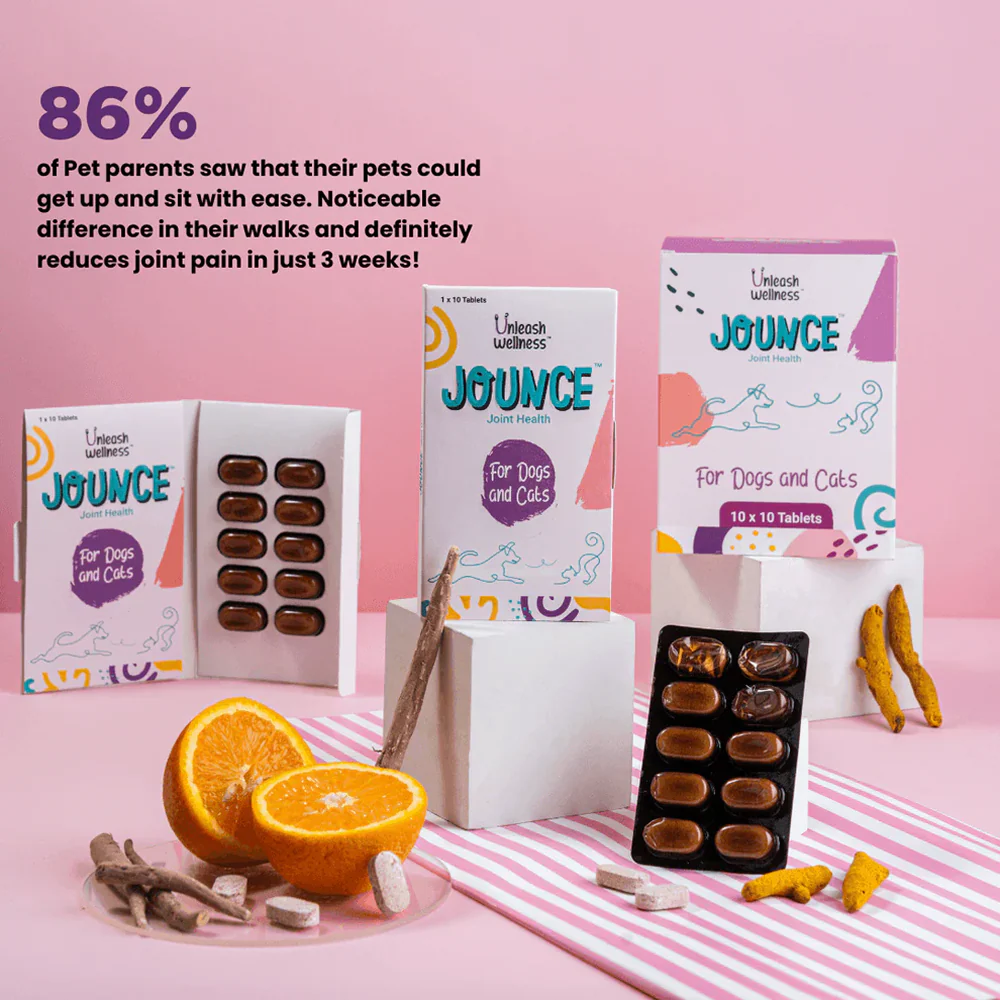 Unleash Wellness Jounce Hip and Joint Support Chews for Dogs and Cats - Image 5