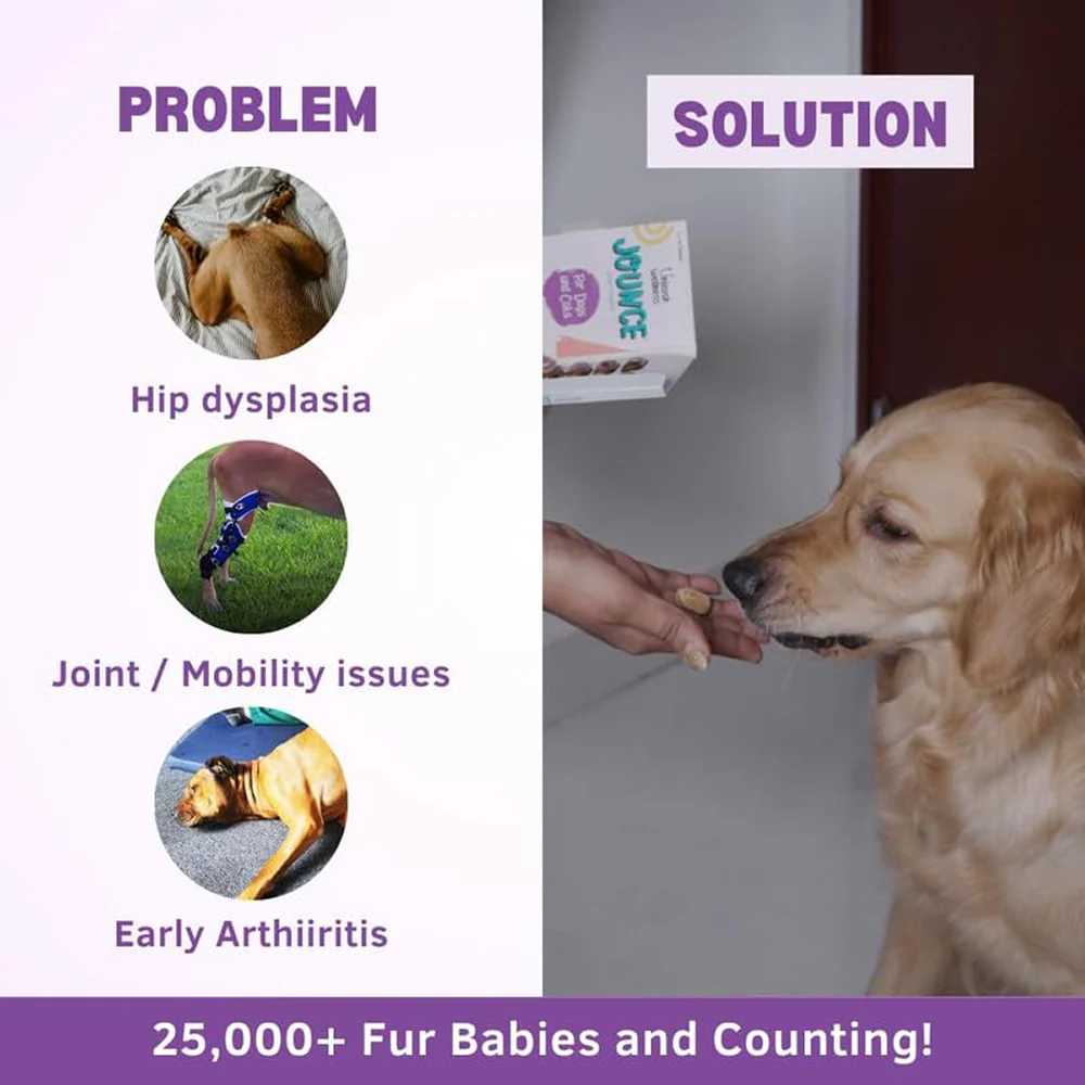 Unleash Wellness Jounce Hip and Joint Support Chews for Dogs and Cats - Image 6