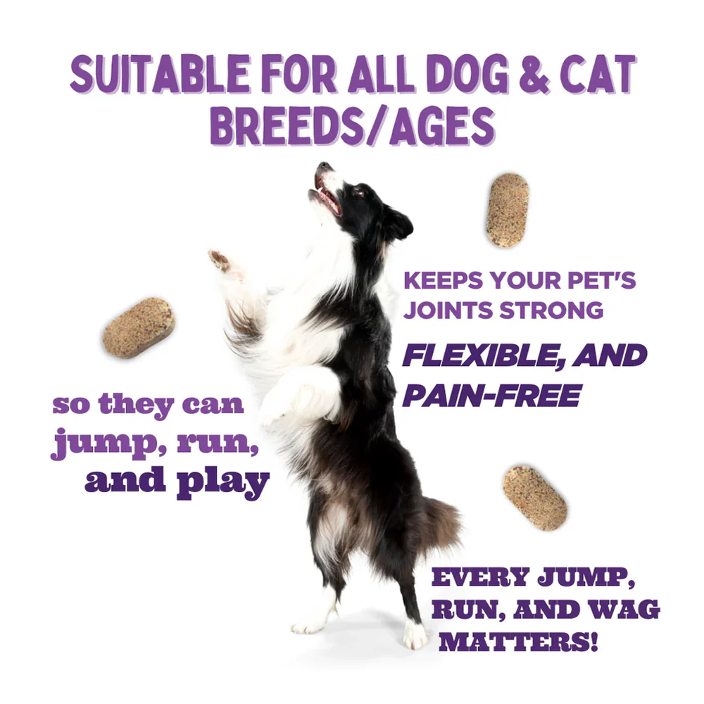 Unleash Wellness Jounce Hip and Joint Support Chews for Dogs and Cats - Image 8