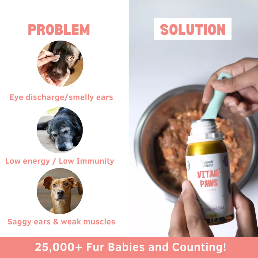 Unleash Wellness Vitam Paws Multivitamin Supplement for Dogs and Cats - Image 2