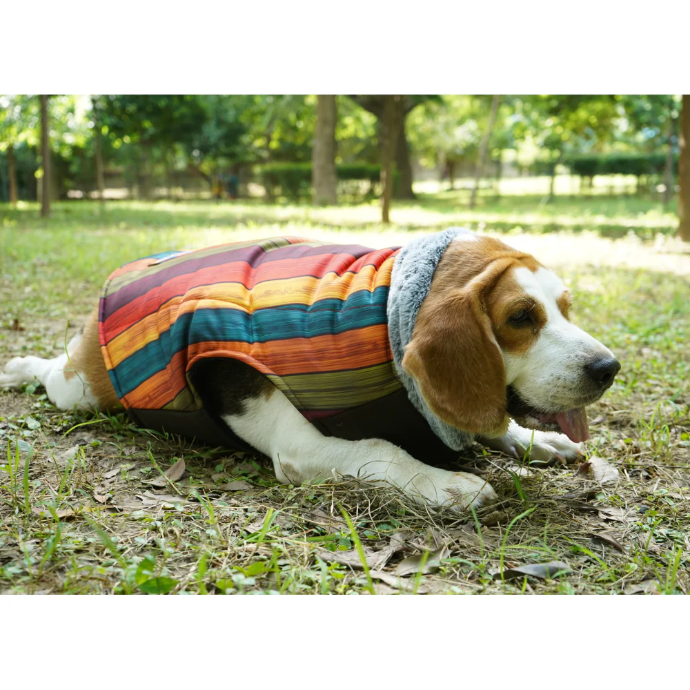 Up4pets Autumn Stripe Polyester Fleece Jackets for Dogs and Cats - Image 4