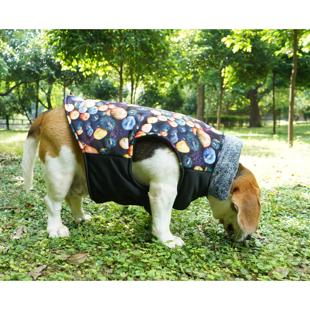 Up4pets Pumpkin Spice Polyester Fleece Jackets for Dogs and Cats - Image 4