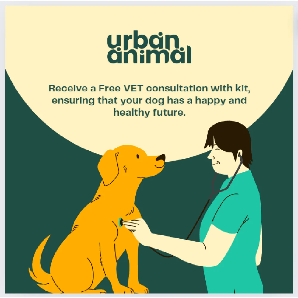 Urban Animal DNA Test for Mating Check Track Test Kit for Dogs - Image 3