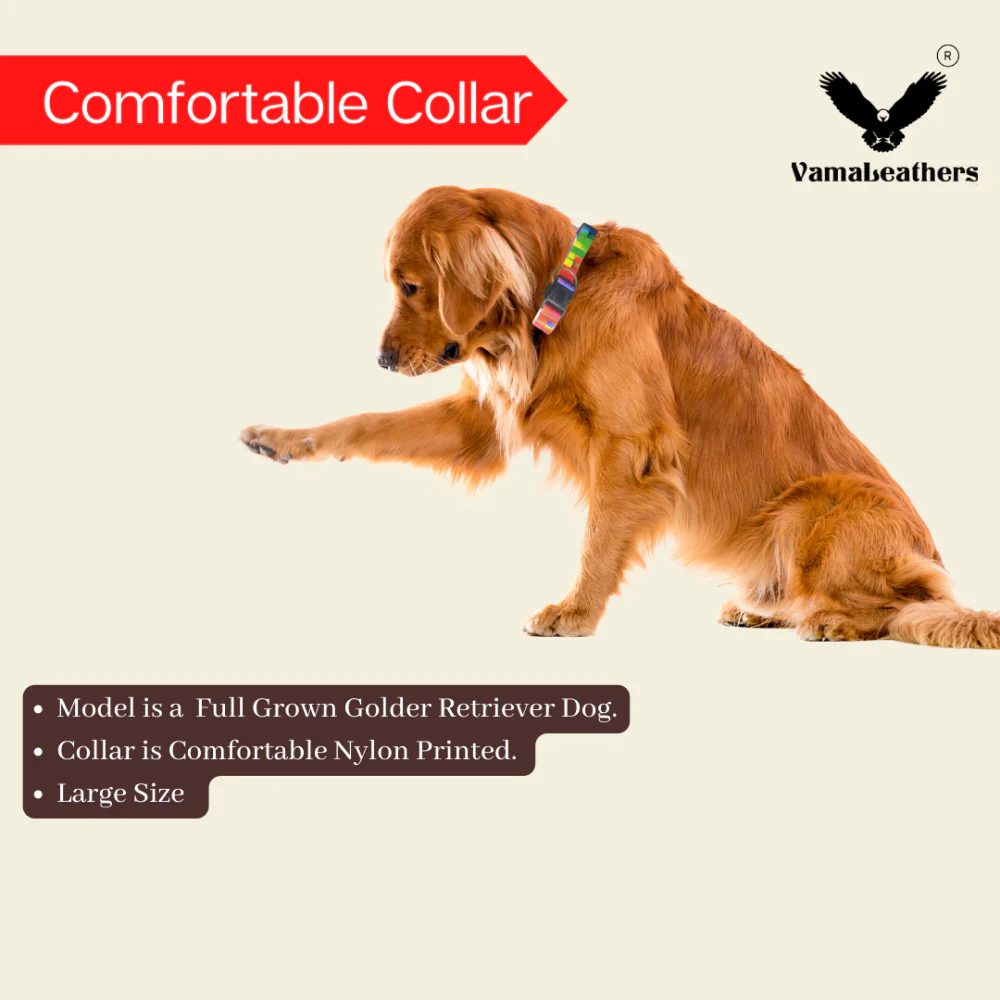 Vama Leathers Night Visible Reflective All Weather Everyday Collar for Dogs (Shiny Black) - Image 5