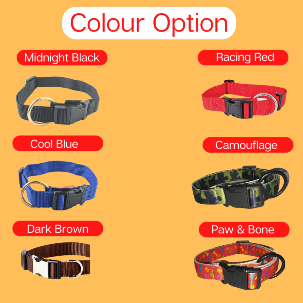 Vama Leathers Night Visible Reflective All Weather Everyday Collar for Dogs (Shiny Black) - Image 7