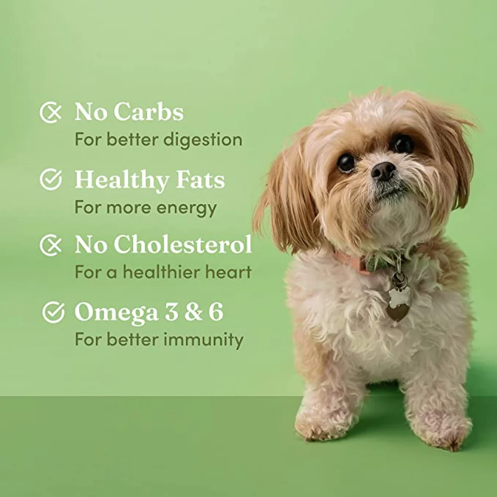 Vedic Tails Hemp Seed Oil for Dogs and Cats - Image 5