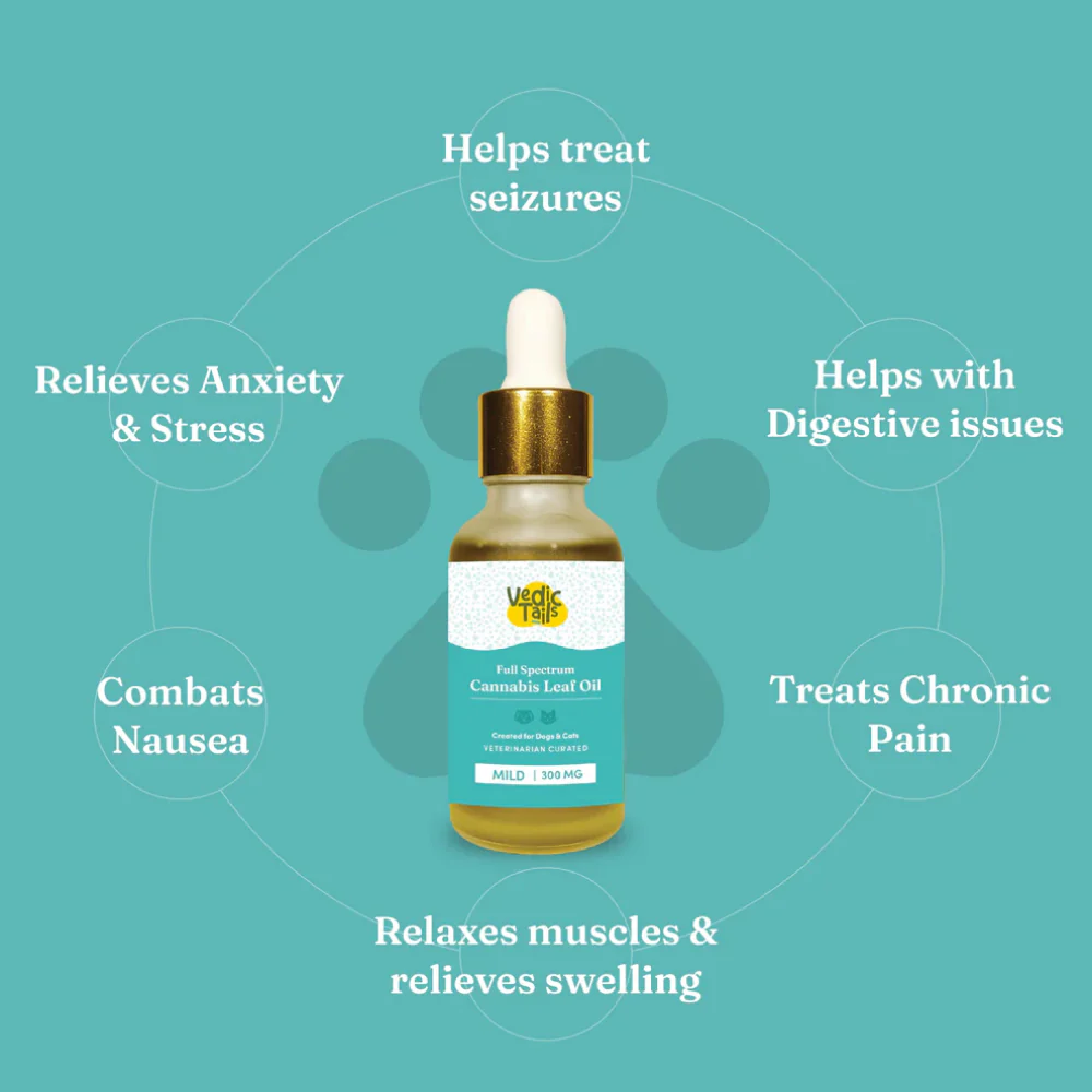 Vedic Tails Mild Cannabis Leaf Oil for Dogs and Cats - Image 2