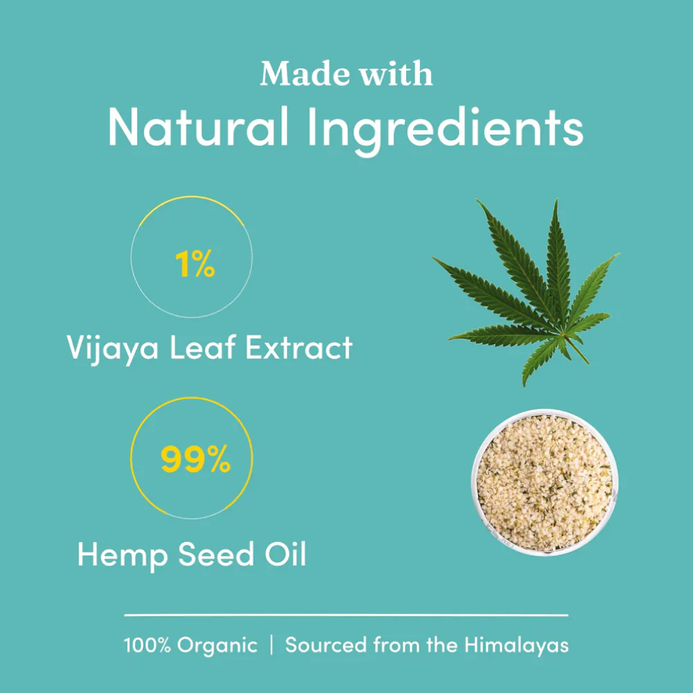 Vedic Tails Mild Cannabis Leaf Oil for Dogs and Cats - Image 3