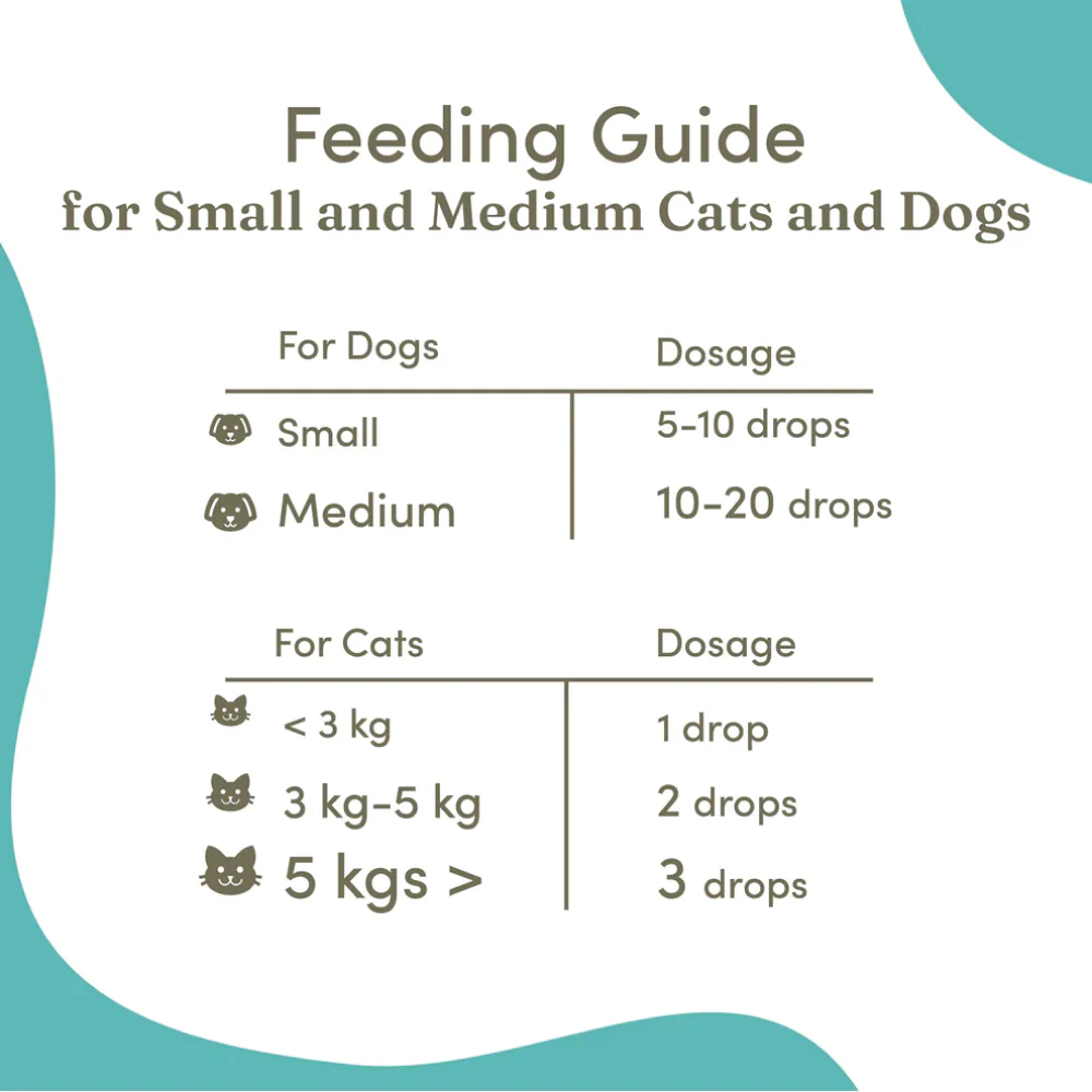 Vedic Tails Mild Cannabis Leaf Oil for Dogs and Cats - Image 5