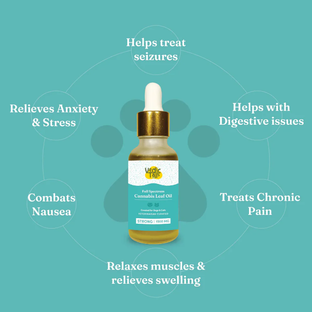 Vedic Tails Strong Cannabis Leaf Oil for Dogs and Cats - Image 2