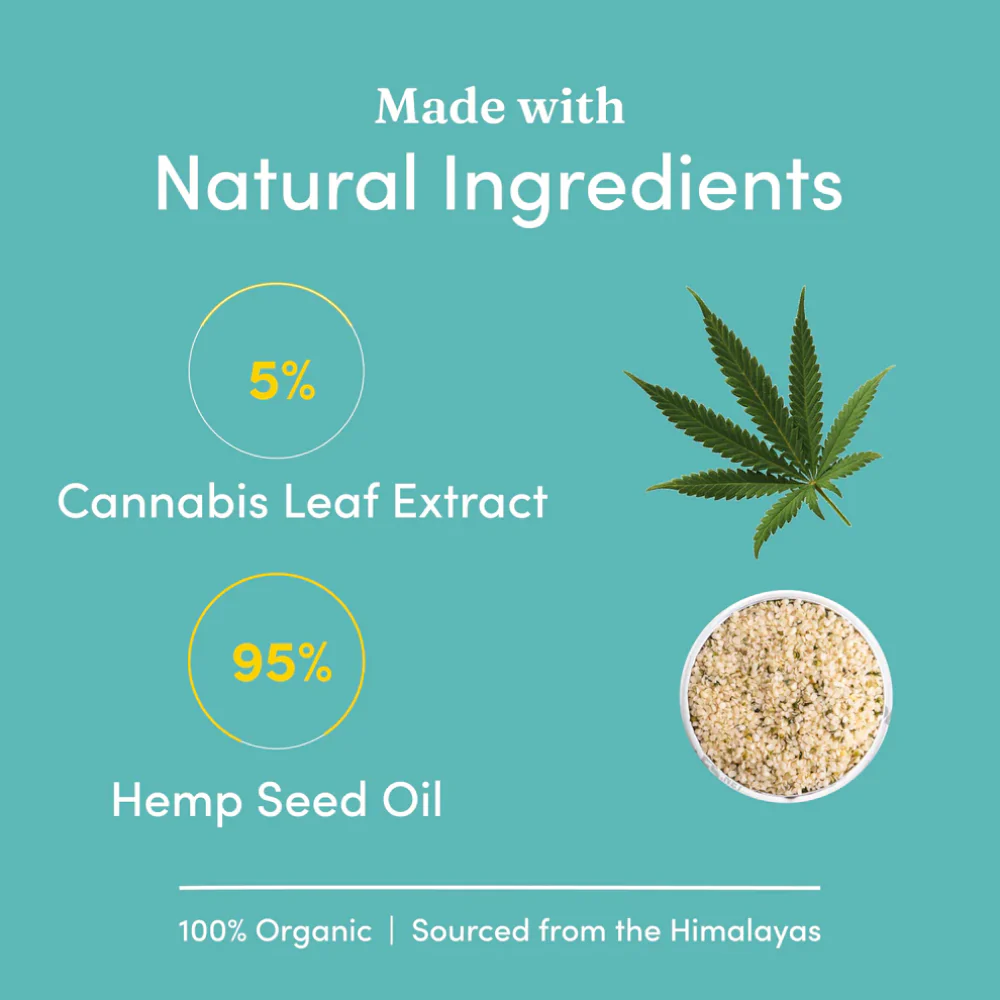 Vedic Tails Strong Cannabis Leaf Oil for Dogs and Cats - Image 3
