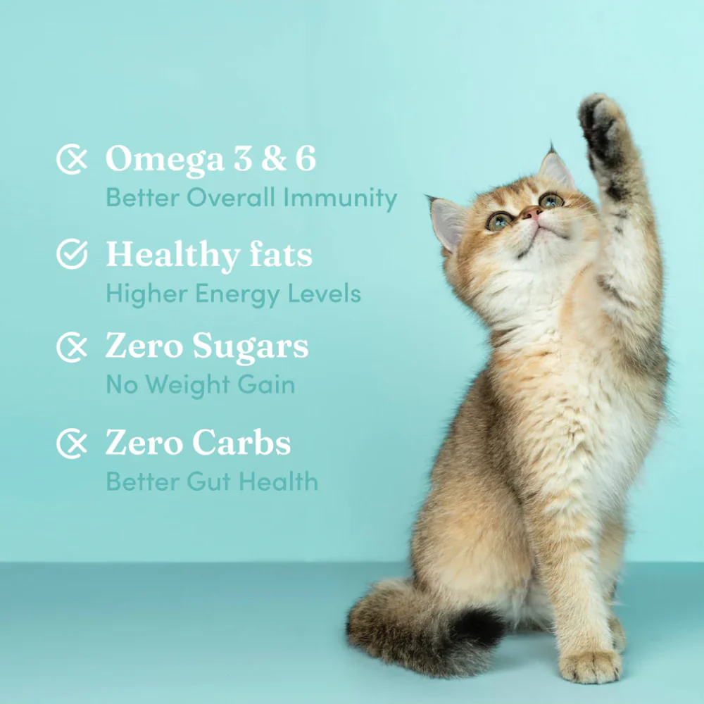 Vedic Tails Strong Cannabis Leaf Oil for Dogs and Cats - Image 7