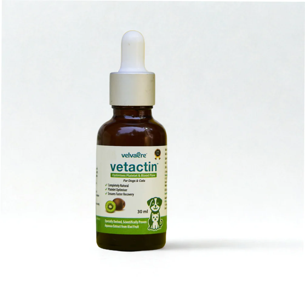 Velvaere Vetactin Syrup Optimizes Platelet & Blood Flow for Dogs & Cats (30ml) - Image 2
