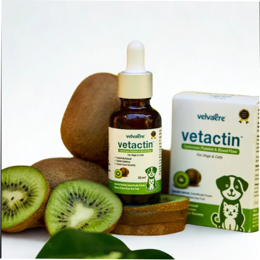 Velvaere Vetactin Syrup Optimizes Platelet & Blood Flow for Dogs & Cats (30ml) - Image 3