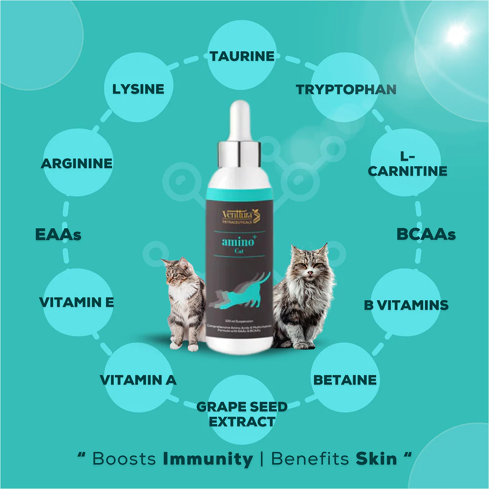 Venttura Amino Acids & Vitamin Supplement for Cats - Image 2