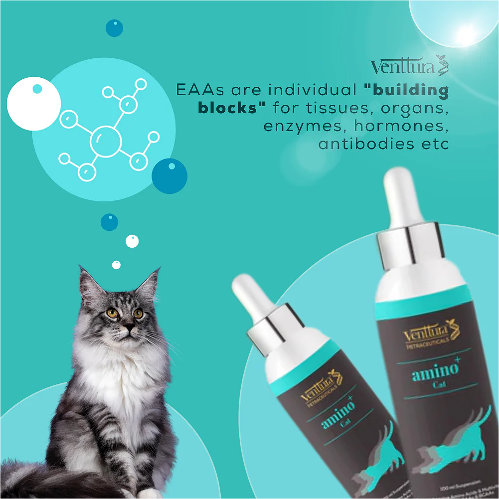 Venttura Amino Acids & Vitamin Supplement for Cats - Image 3
