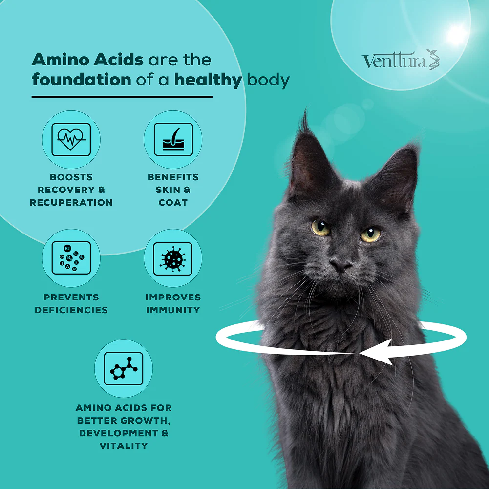 Venttura Amino Acids & Vitamin Supplement for Cats - Image 4