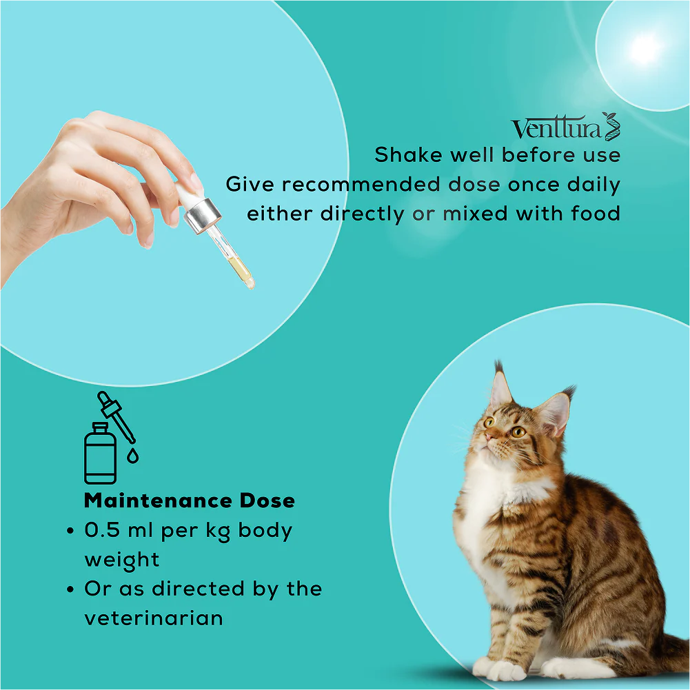 Venttura Amino Acids & Vitamin Supplement for Cats - Image 5