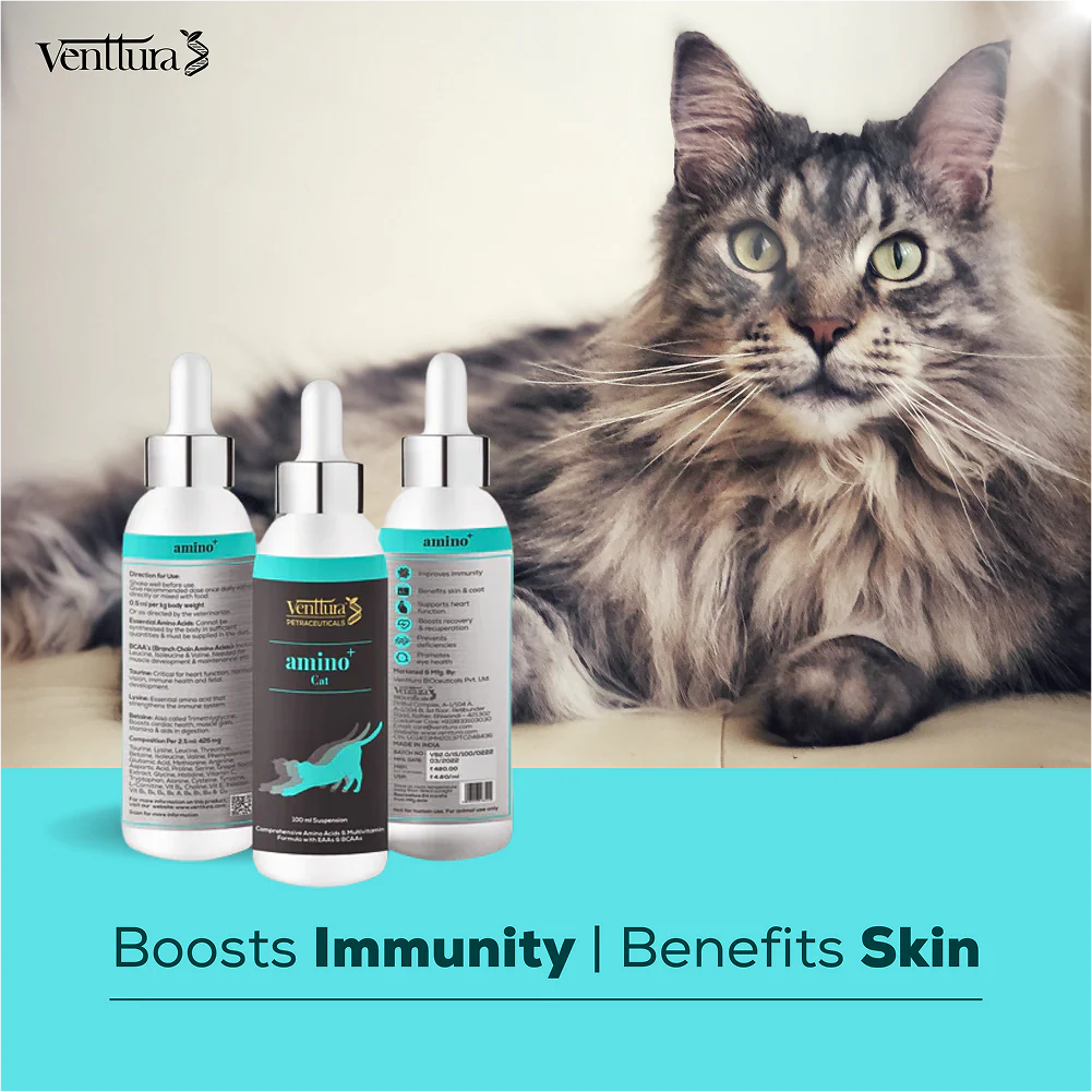 Venttura Amino Acids & Vitamin Supplement for Cats - Image 6