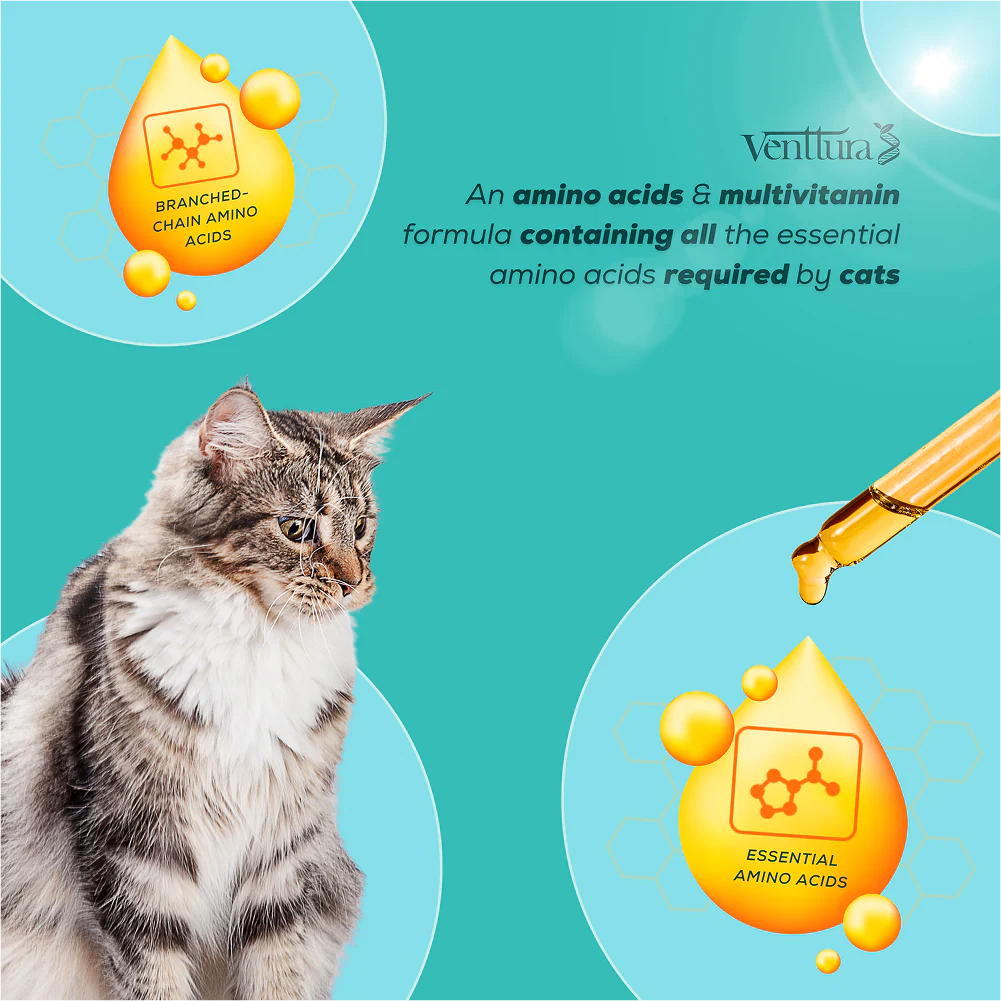 Venttura Amino Acids & Vitamin Supplement for Cats - Image 7