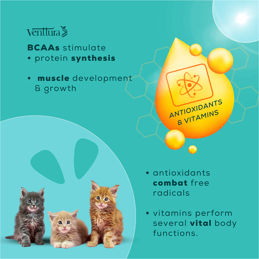 Venttura Amino Acids & Vitamin Supplement for Cats - Image 8