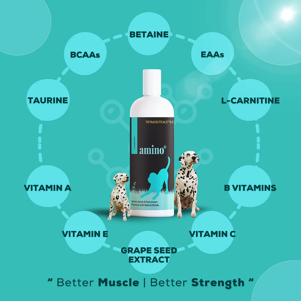 Venttura Amino Plus Syrup for Dogs - Image 2