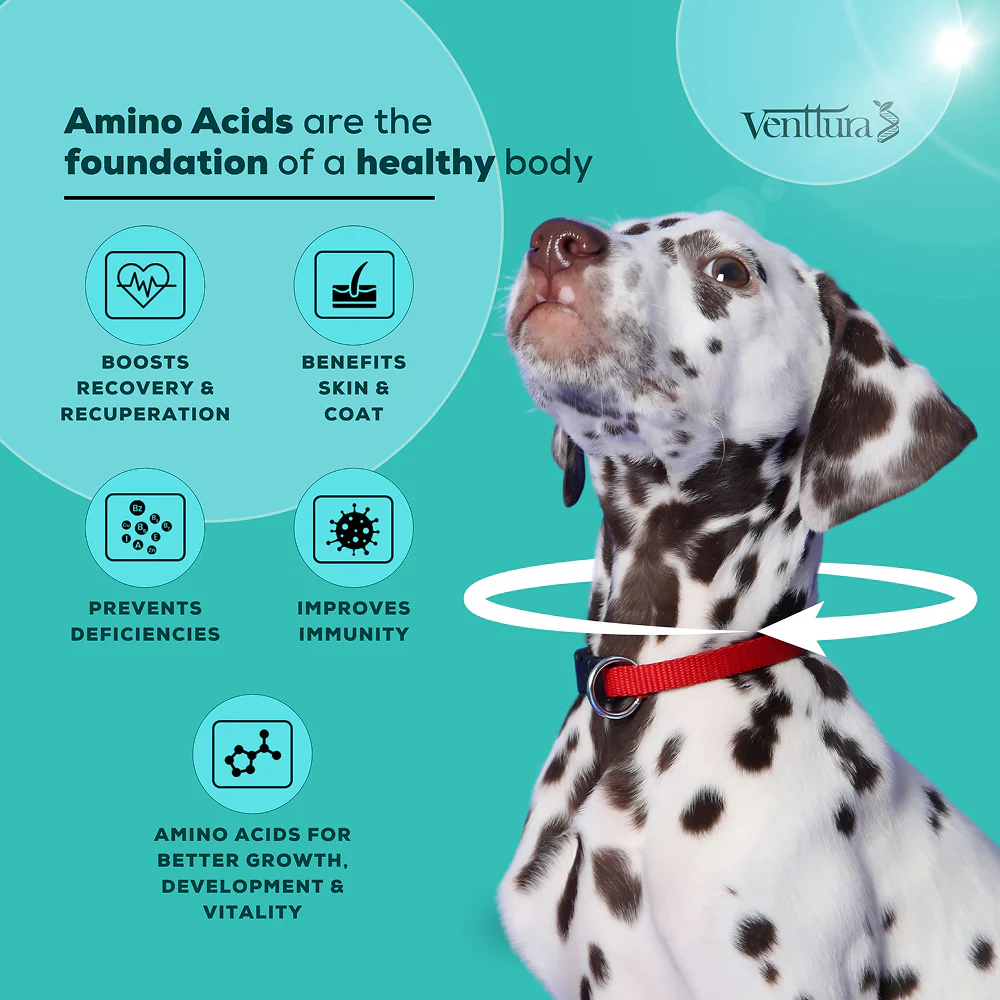 Venttura Amino Plus Syrup for Dogs - Image 3