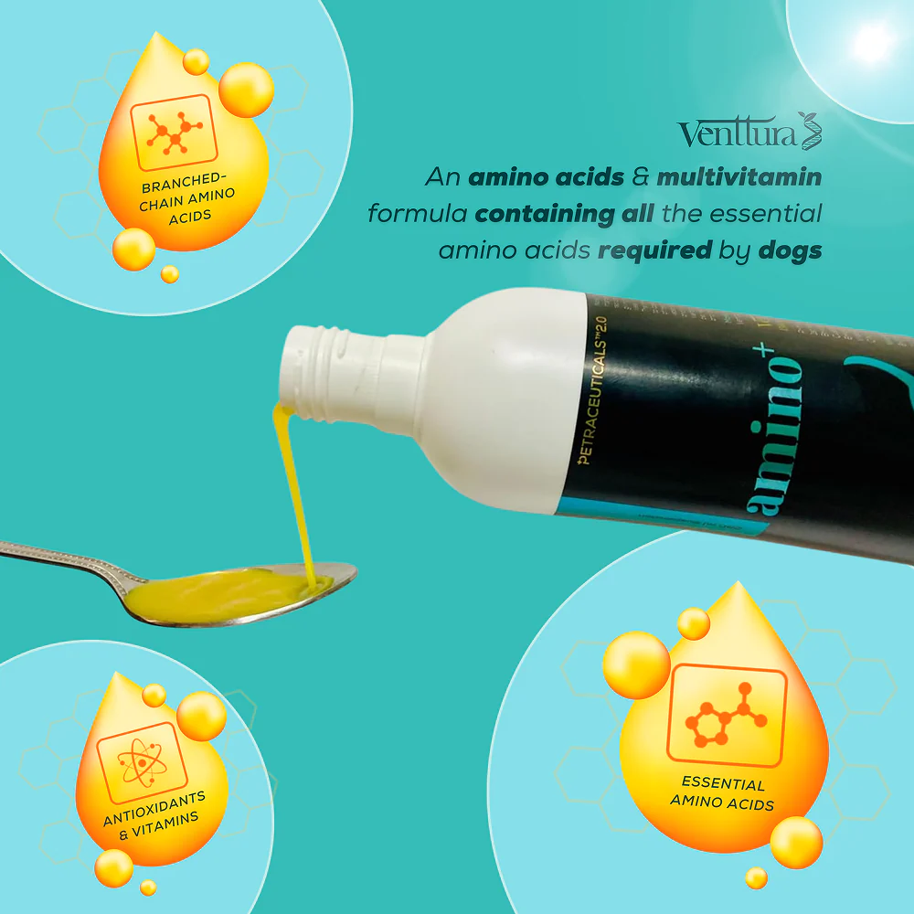 Venttura Amino Plus Syrup for Dogs - Image 4