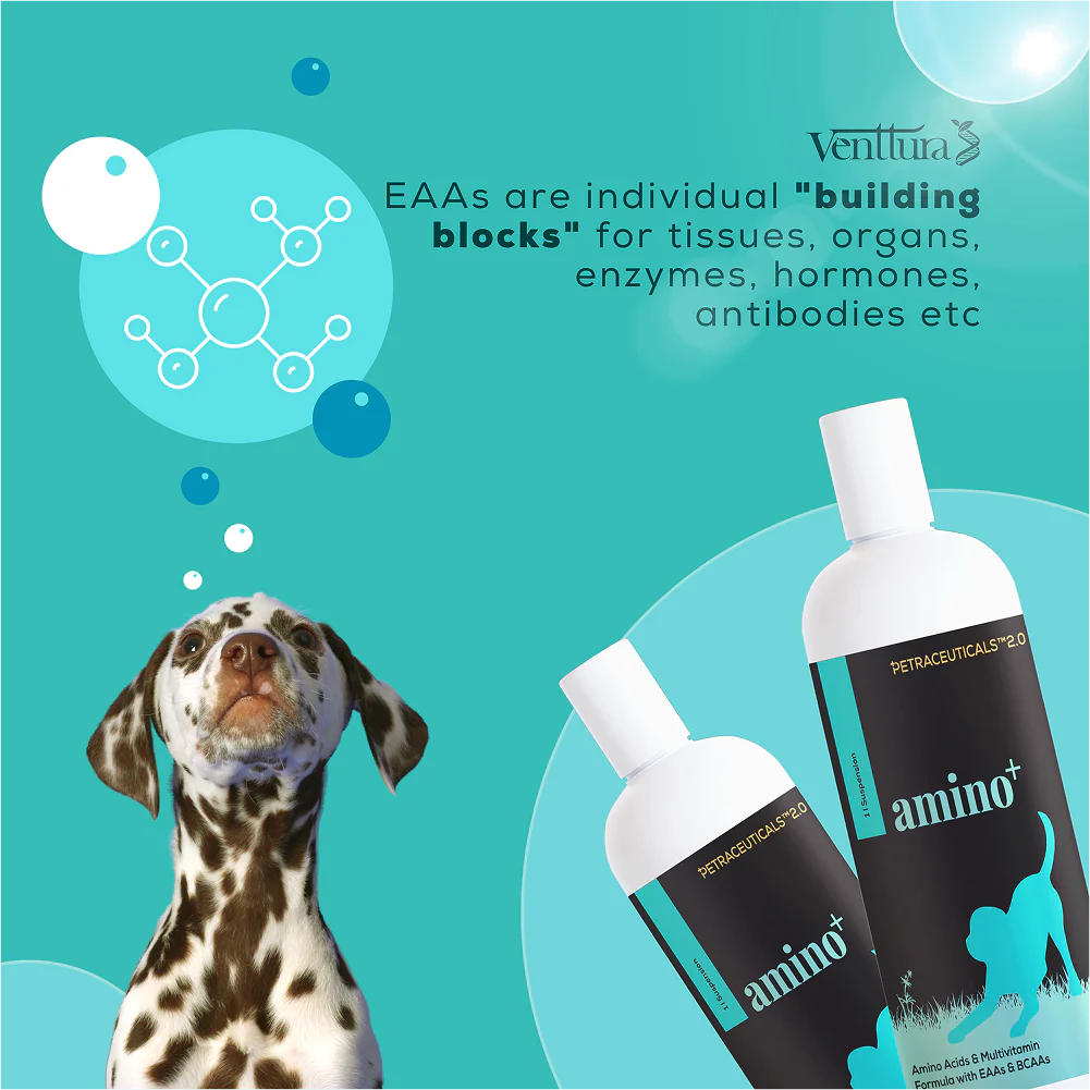 Venttura Amino Plus Syrup for Dogs - Image 5