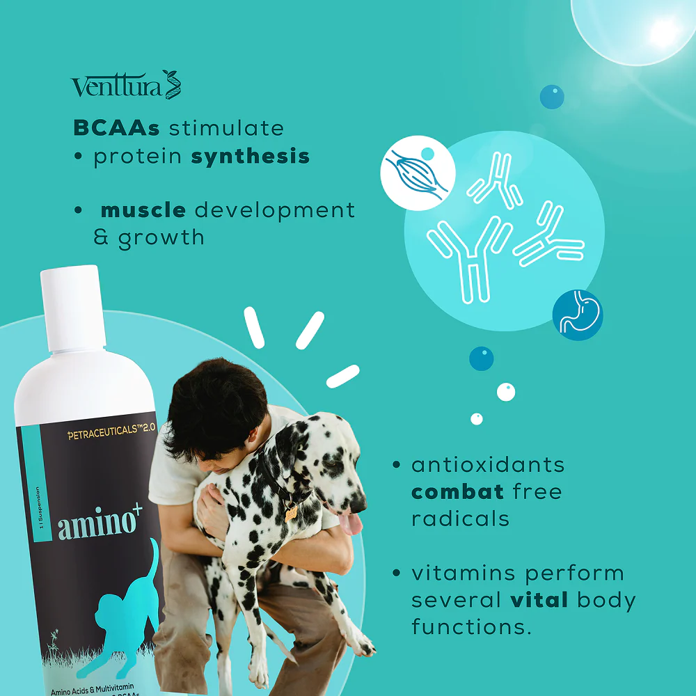 Venttura Amino Plus Syrup for Dogs - Image 6