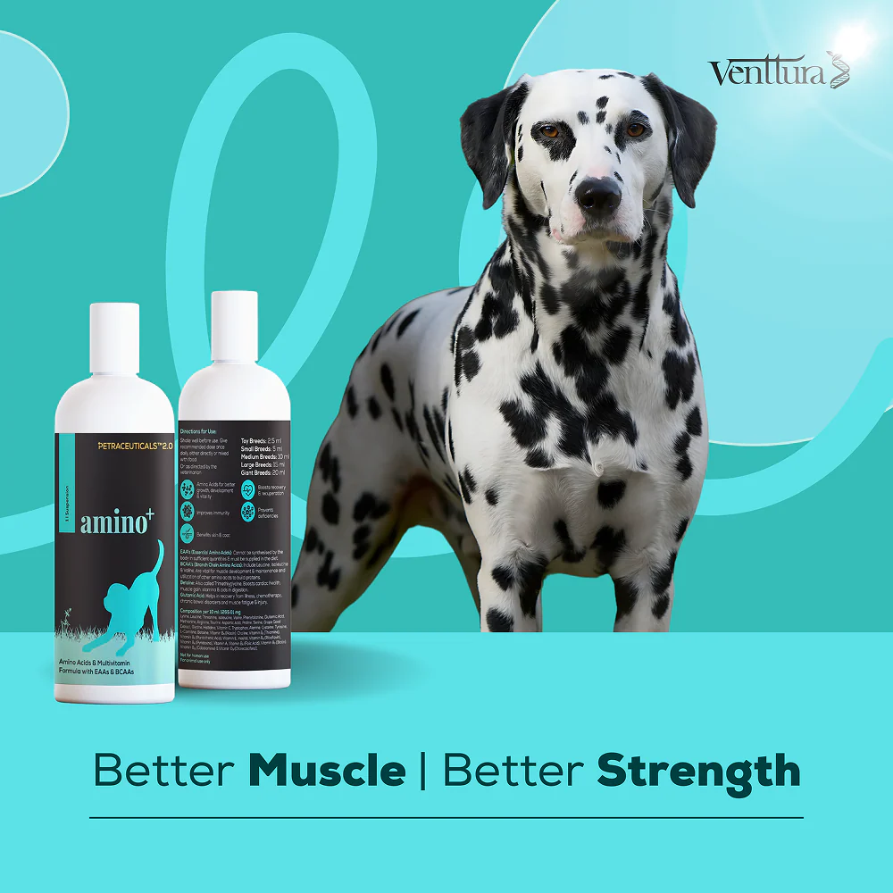 Venttura Amino Plus Syrup for Dogs - Image 7