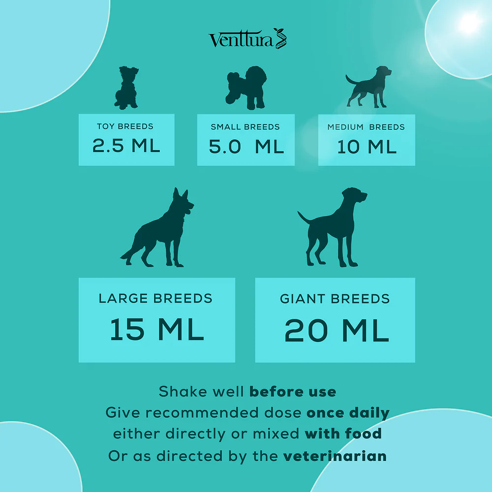 Venttura Amino Plus Syrup for Dogs - Image 8