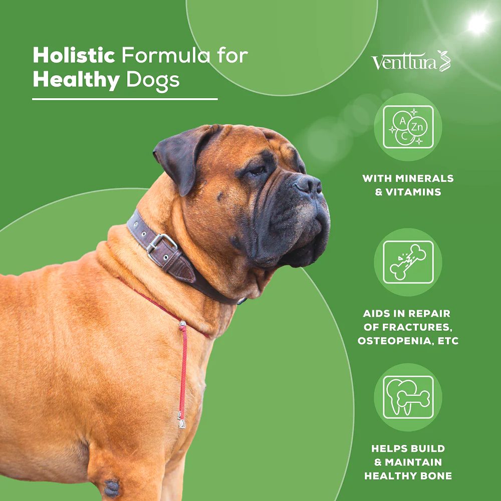 Venttura Calci Pro Plus Chewable Calcium Supplement Tablets for Dogs - Image 2