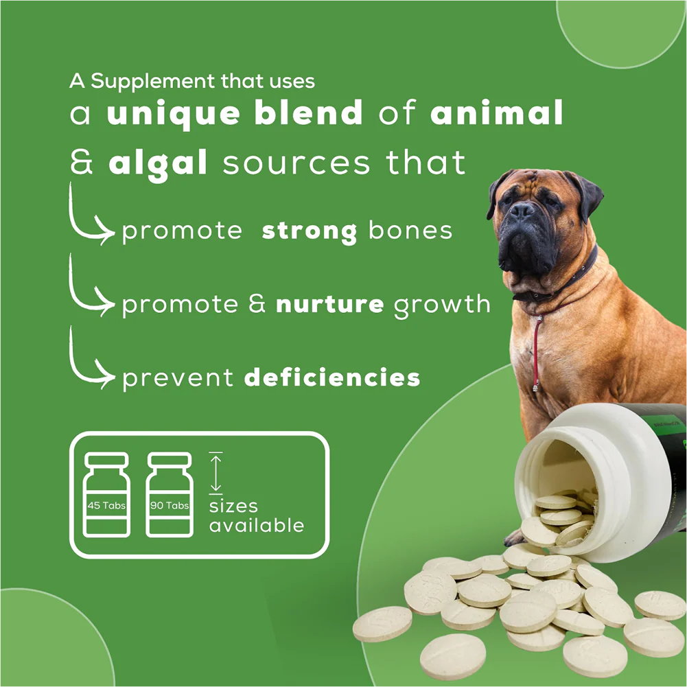 Venttura Calci Pro Plus Chewable Calcium Supplement Tablets for Dogs - Image 3