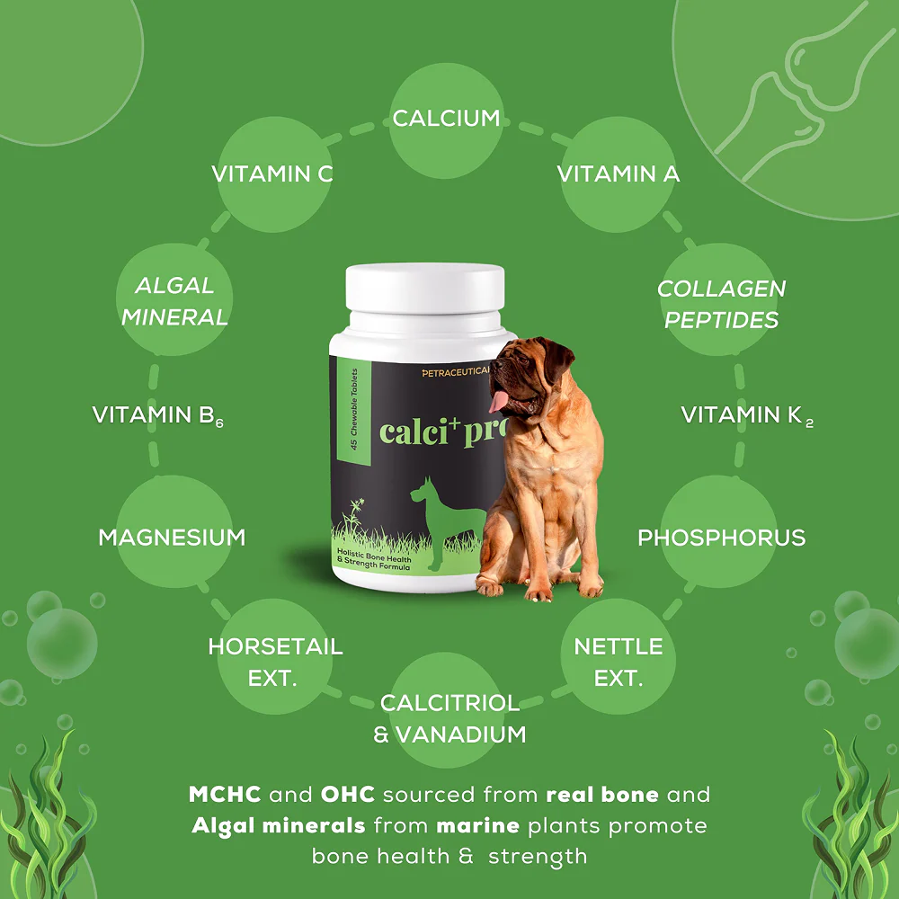 Venttura Calci Pro Plus Chewable Calcium Supplement Tablets for Dogs - Image 4