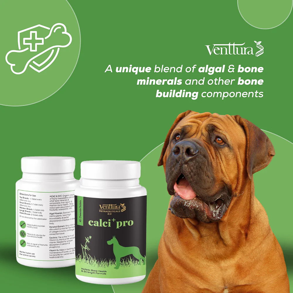Venttura Calci Pro Plus Chewable Calcium Supplement Tablets for Dogs - Image 5