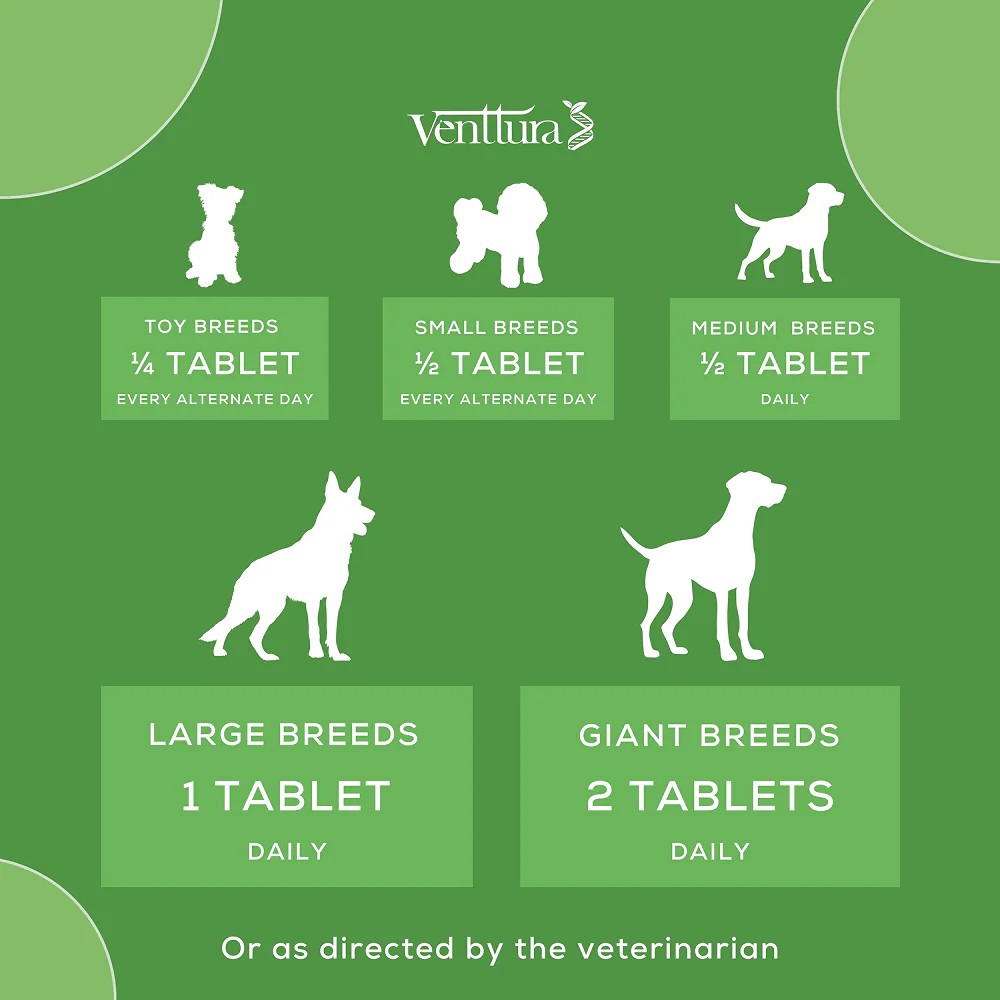 Venttura Calci Pro Plus Chewable Calcium Supplement Tablets for Dogs - Image 6