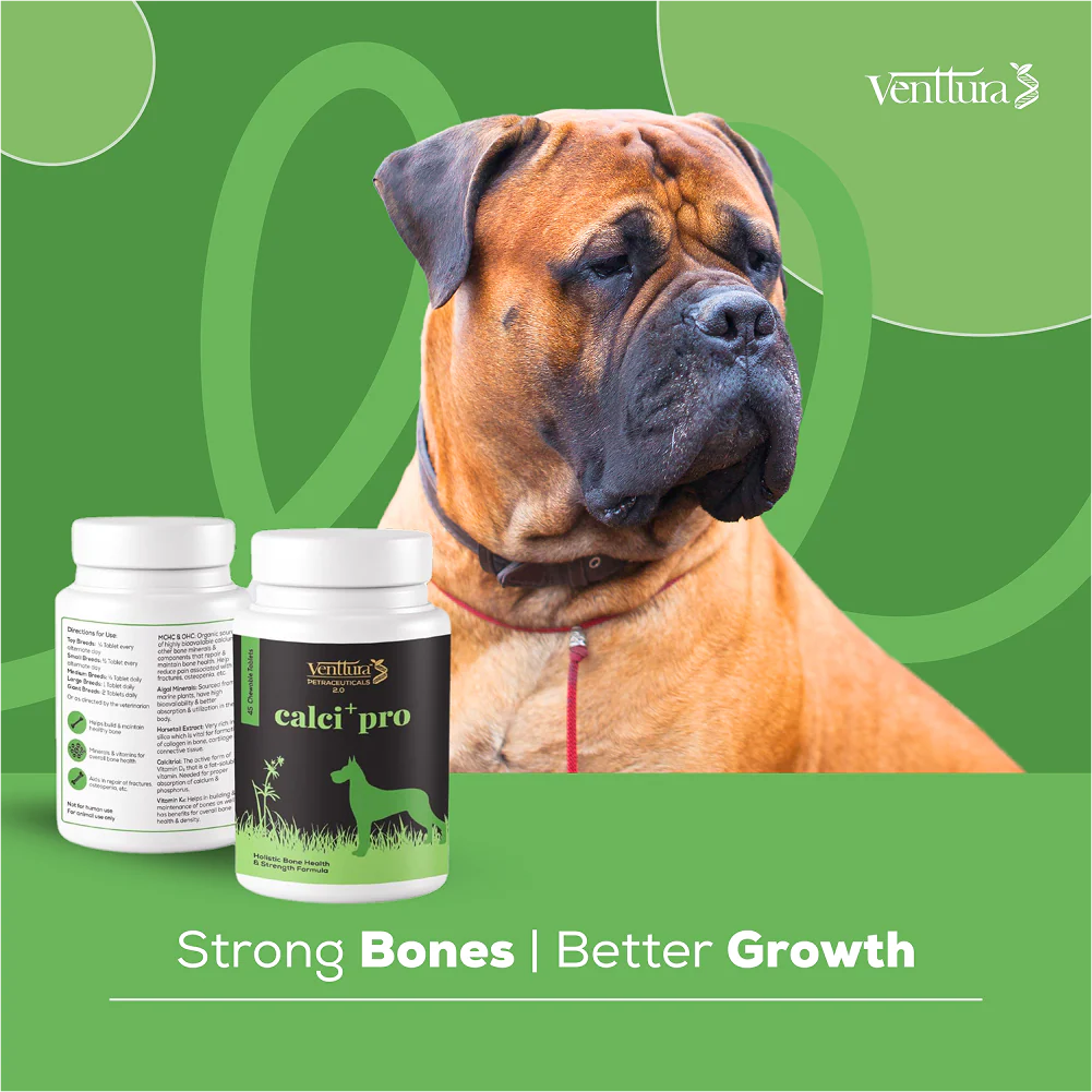 Venttura Calci Pro Plus Chewable Calcium Supplement Tablets for Dogs - Image 7