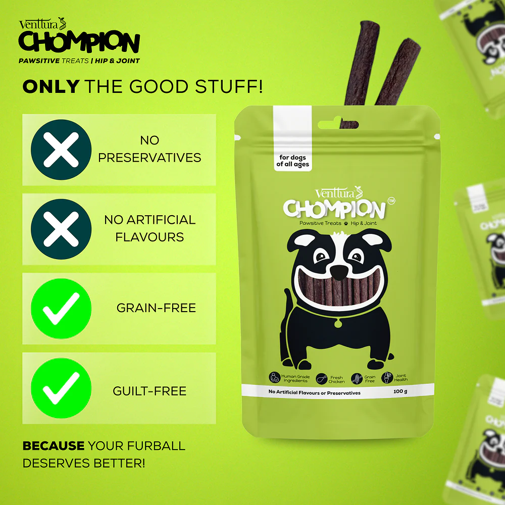 Venttura Chompion Pawsitive Hip & Joint Dogs Treats - Image 3
