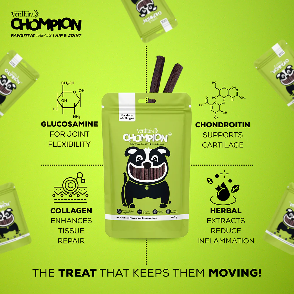 Venttura Chompion Pawsitive Hip & Joint Dogs Treats - Image 5