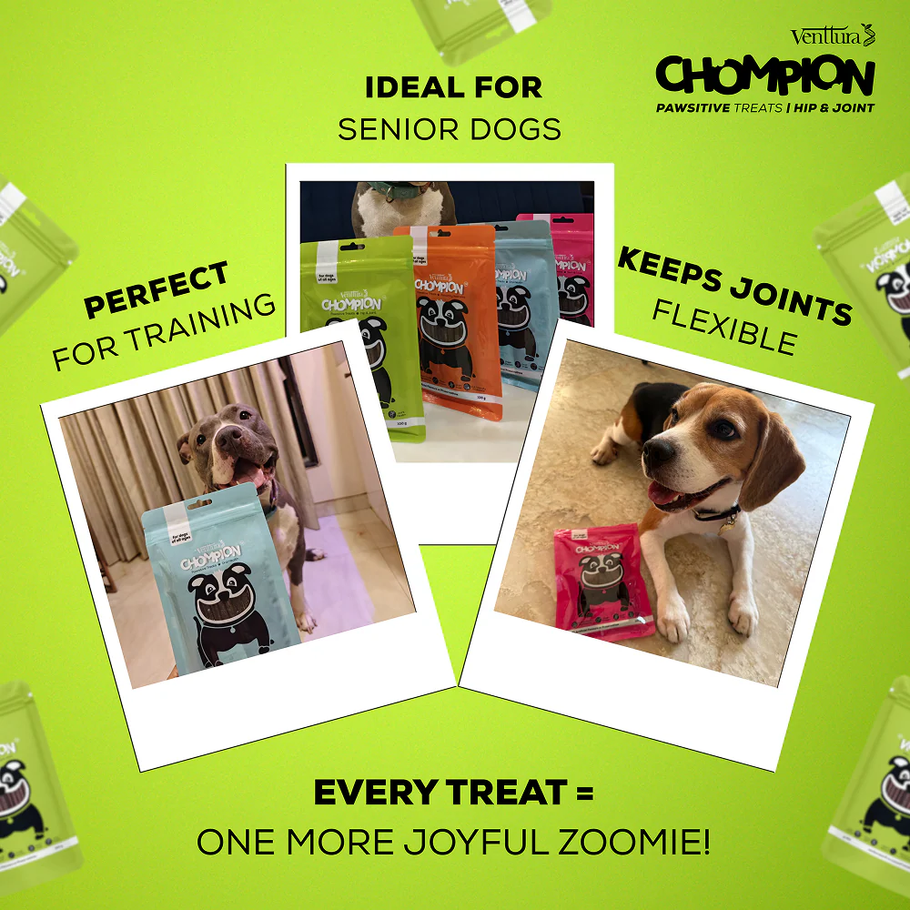 Venttura Chompion Pawsitive Hip & Joint Dogs Treats - Image 6