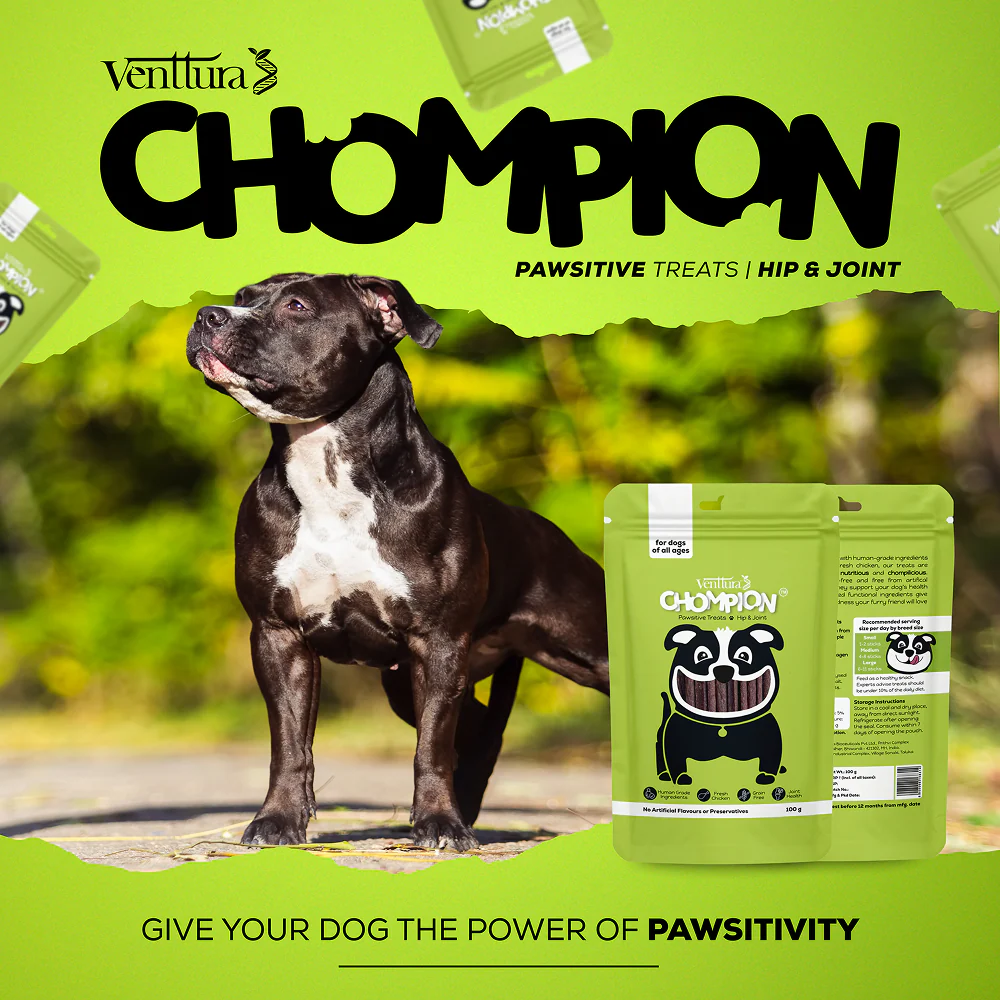 Venttura Chompion Pawsitive Hip & Joint Dogs Treats - Image 7