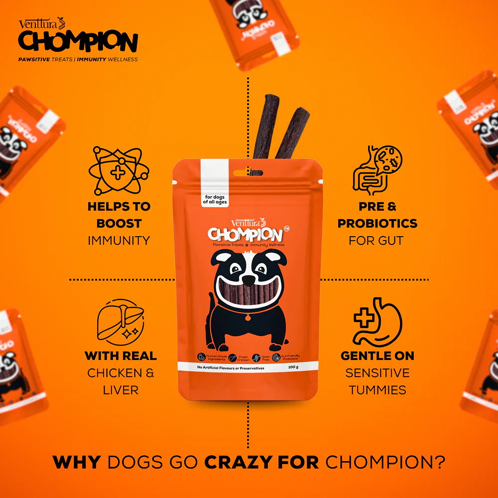 Venttura Chompion Pawsitive Immunity Wellness Dogs Treats - Image 5